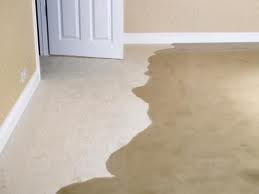 how to dry wet carpets